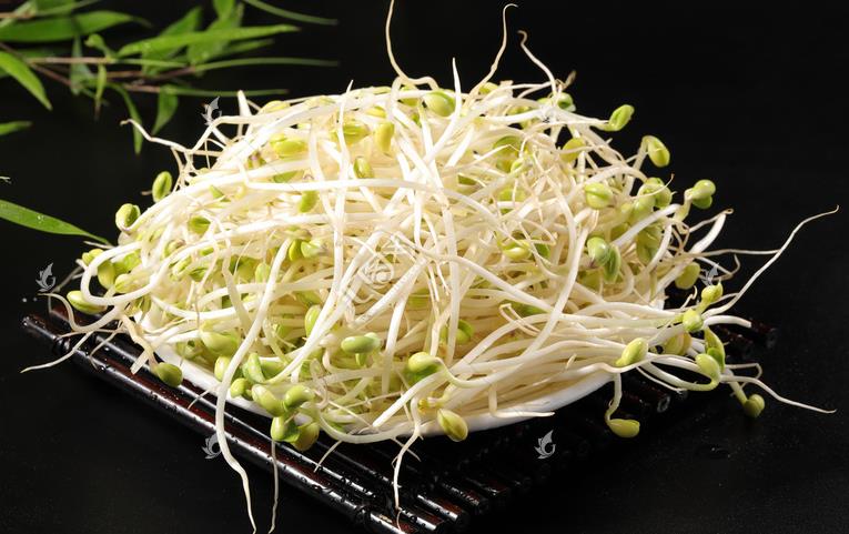 無公害綠色豆芽，怎么生產出來的？全套生產過程如此方便智能